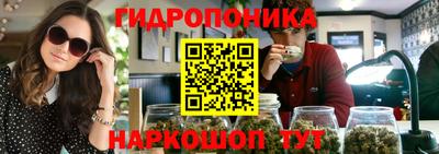 молекула духа Северобайкальск