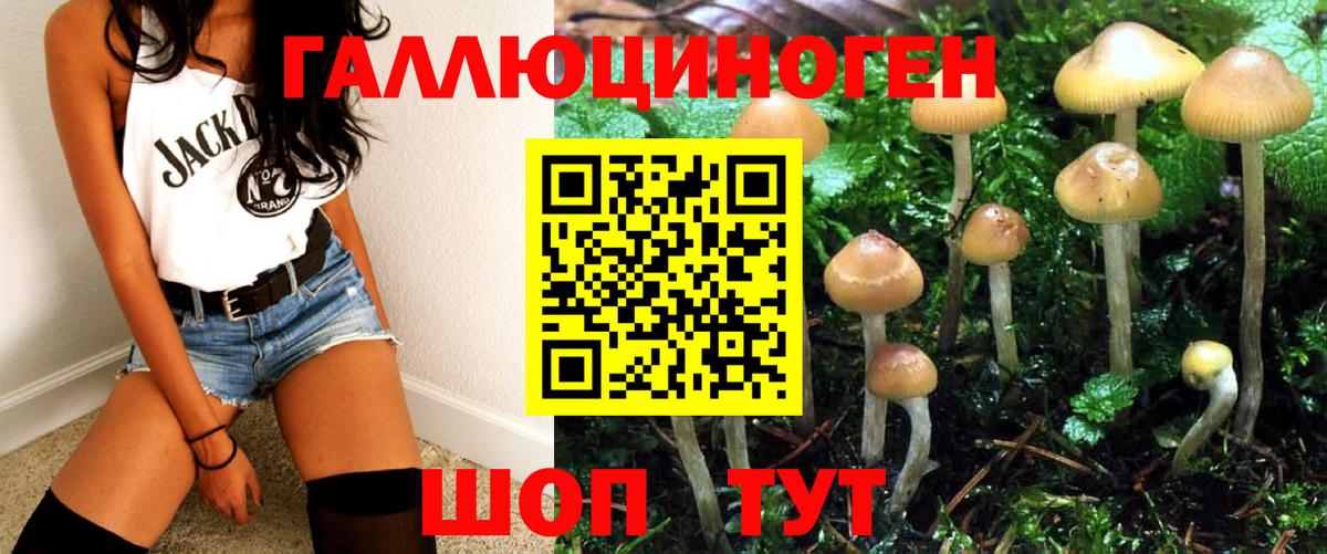 Псилоцибиновые грибы MAGIC MUSHROOMS Саяногорск
