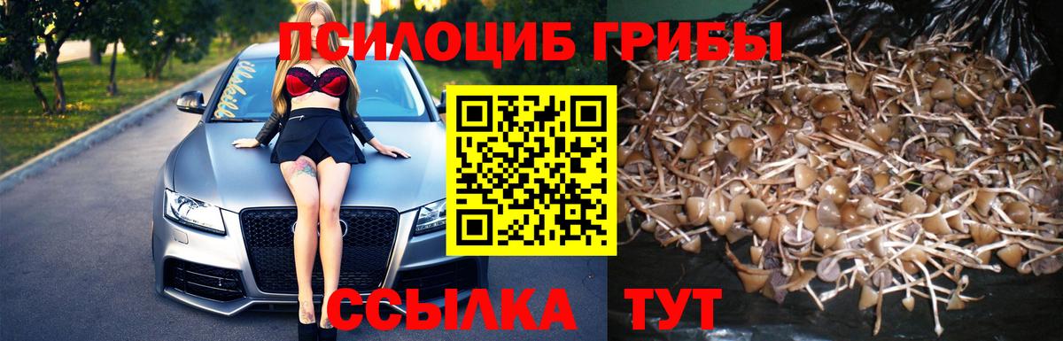 Бошки Шишки Саяногорск